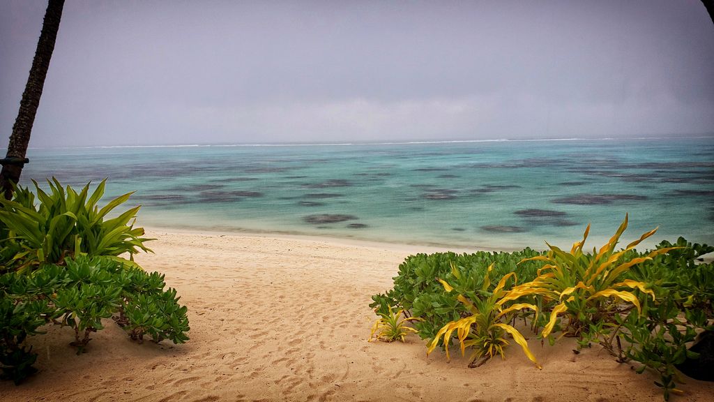 A Storm Blows Across the Reef